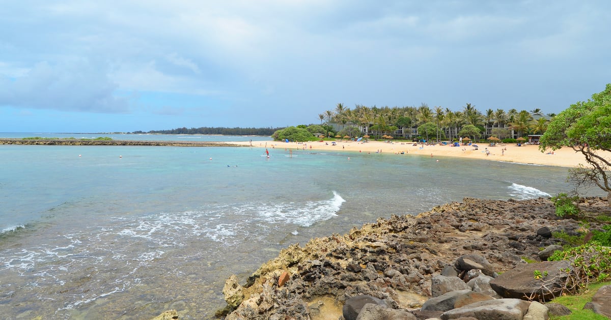 Kuilima Cove, Oahu: The North Shore's Calmest Snorkel (2026)