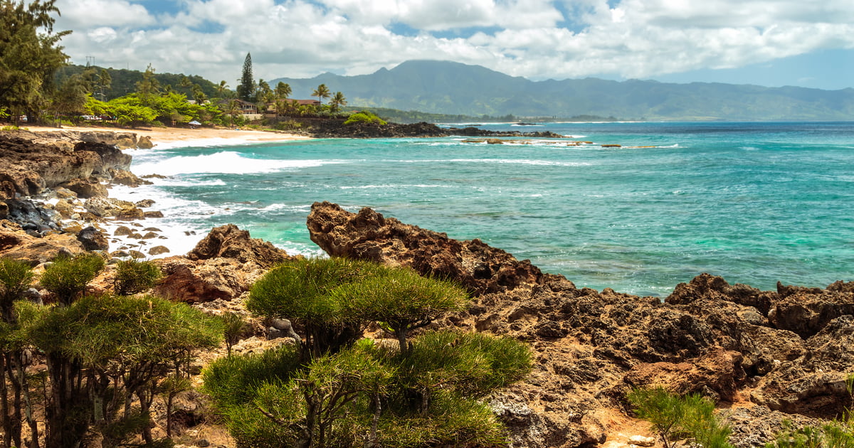 Three Tables Beach, Oahu: Snorkeling, Turtles & Tips (2026)