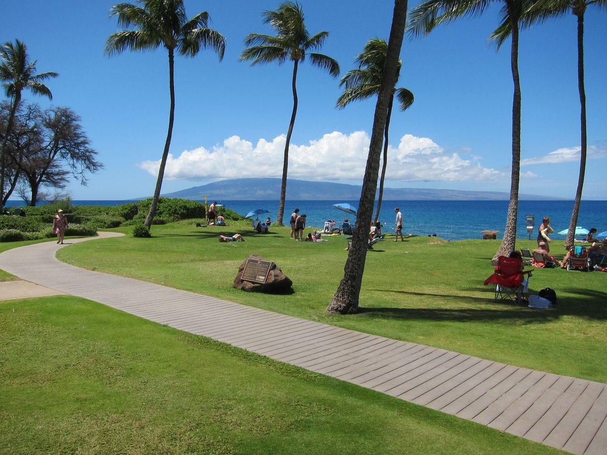 Visitors relaxing beneath palm trees beside the ocean at Kahekili Beach Park on Maui