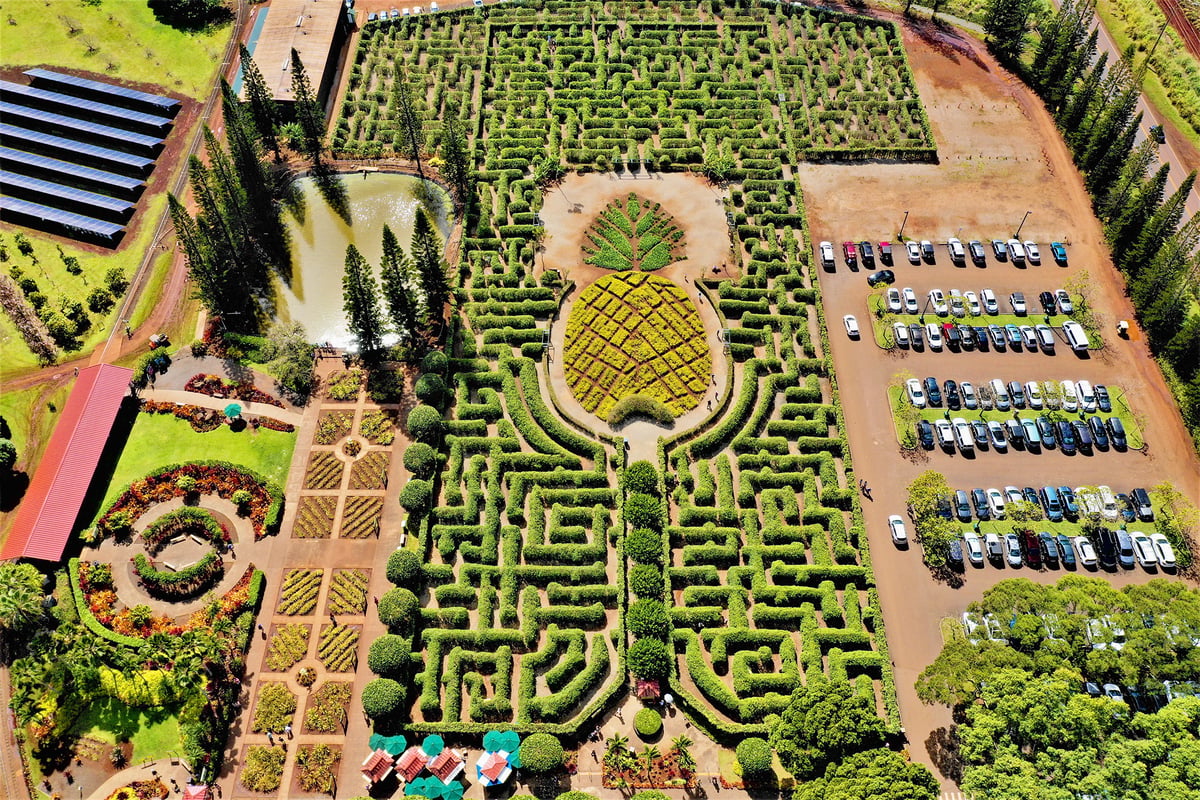 Aerial view of central Oʻahu near the Dole Plantation, patchwork fields under blue sky