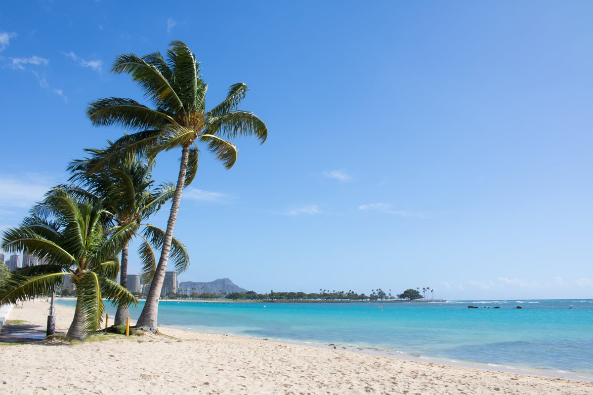 Ala Moana Beach Park shoreline with palm trees, calm water, and Diamond Head in the distance.