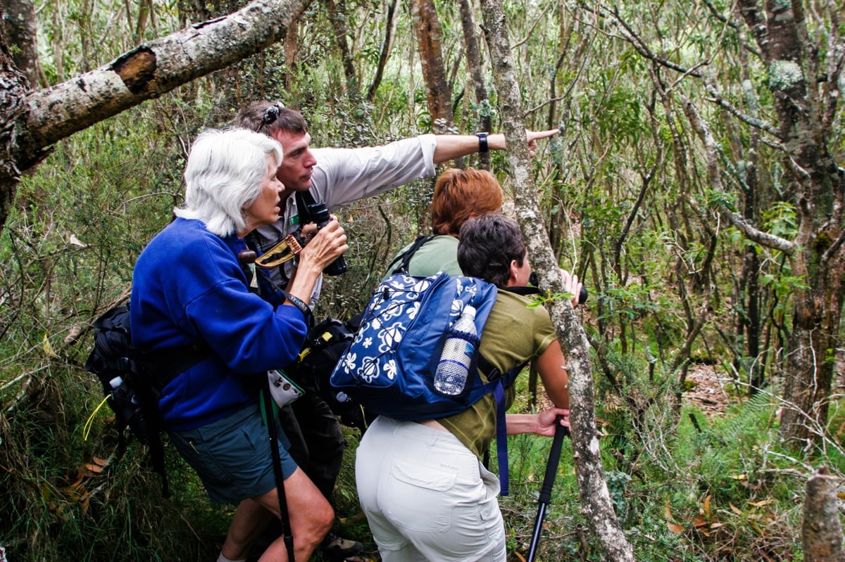 A birding guide points into a native forest while visitors look through binoculars