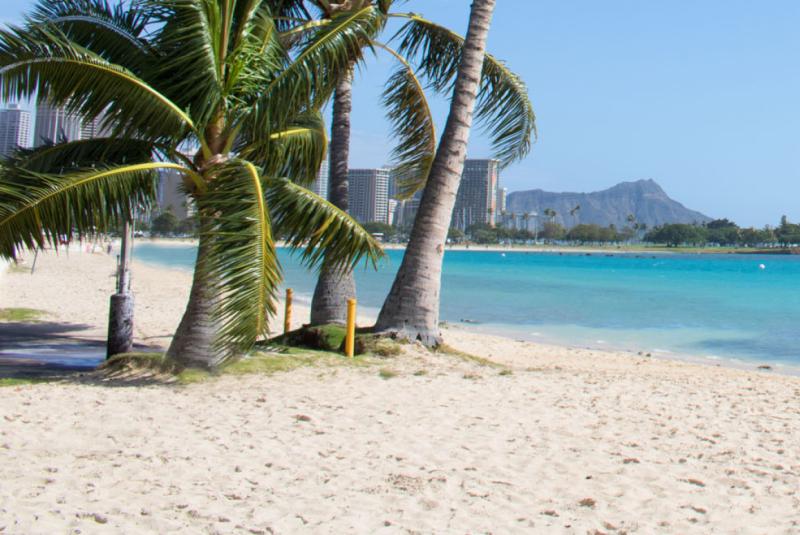 Ala Moana Beach Park on Oahu with lawns, palm trees, and calm water near Honolulu.