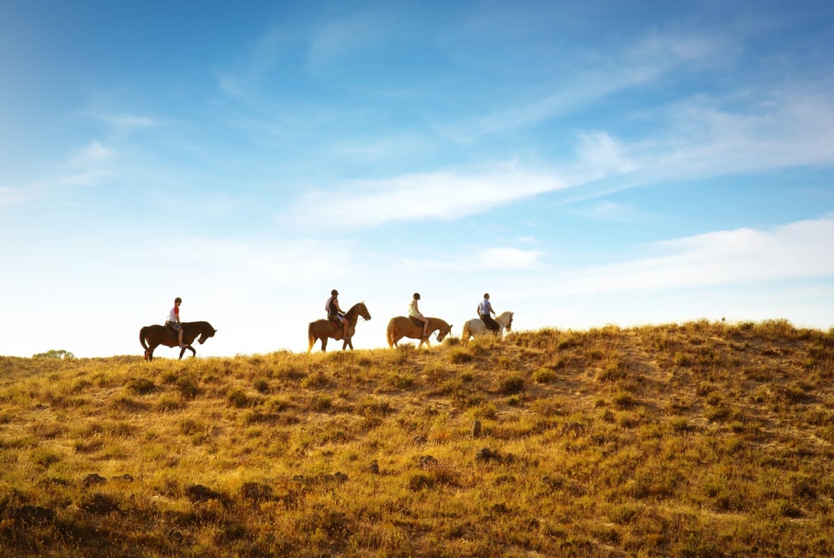 Four riders crossing open ranch country on a horseback tour in Hawaii