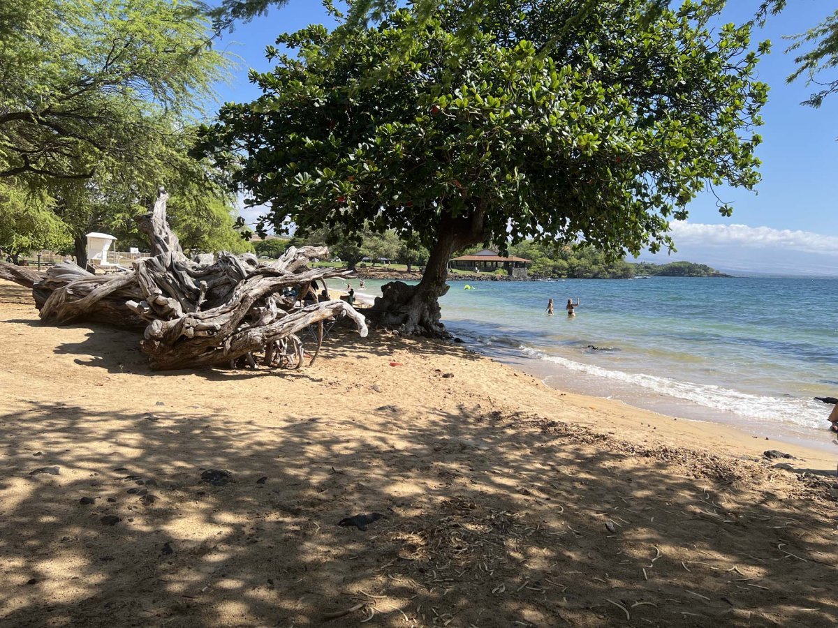 Spencer Beach Park on the Big Island with calm water and sandy shoreline.