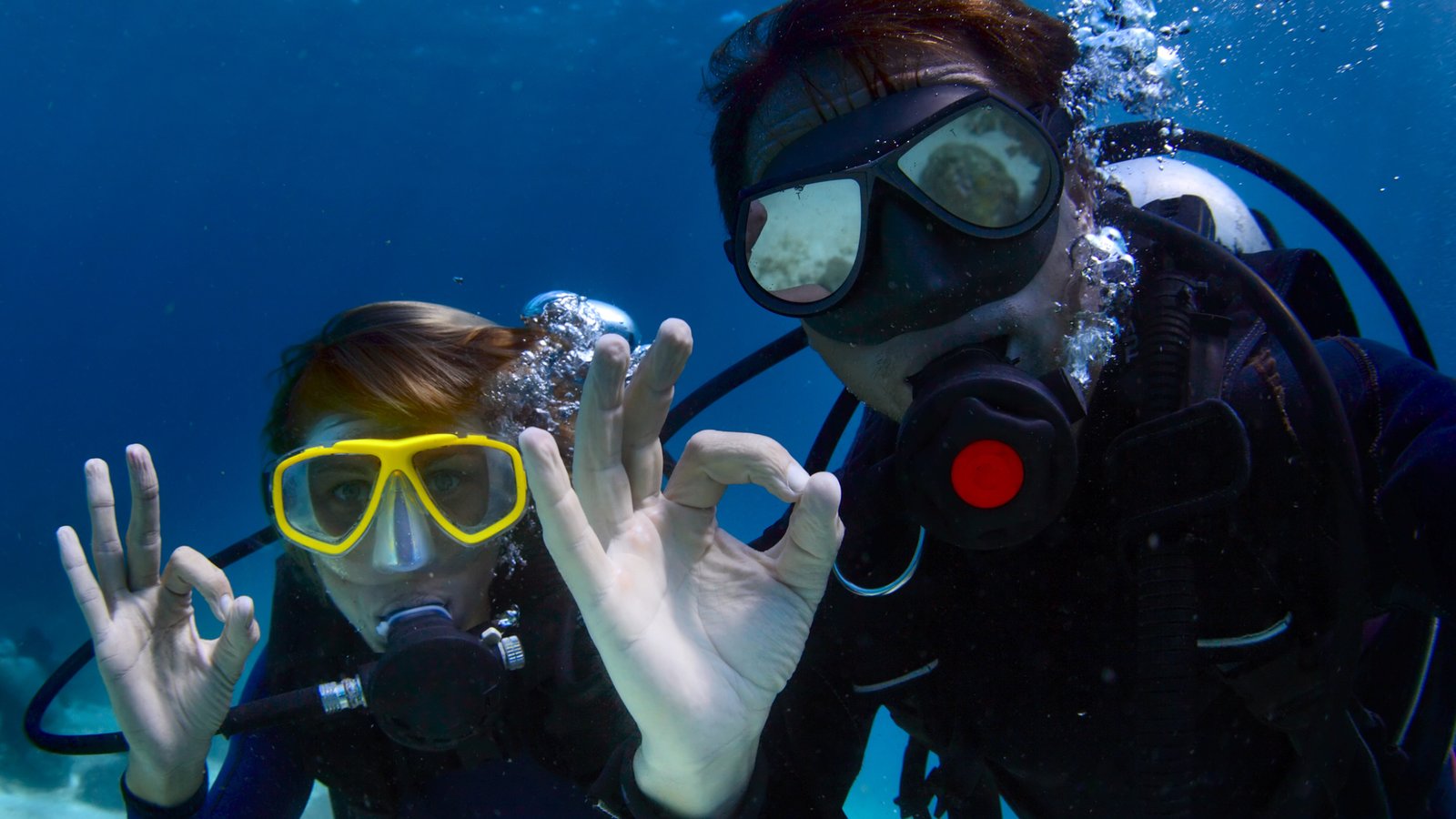 Kauaʻi Scuba Diving Tours: South Shore & Niʻihau