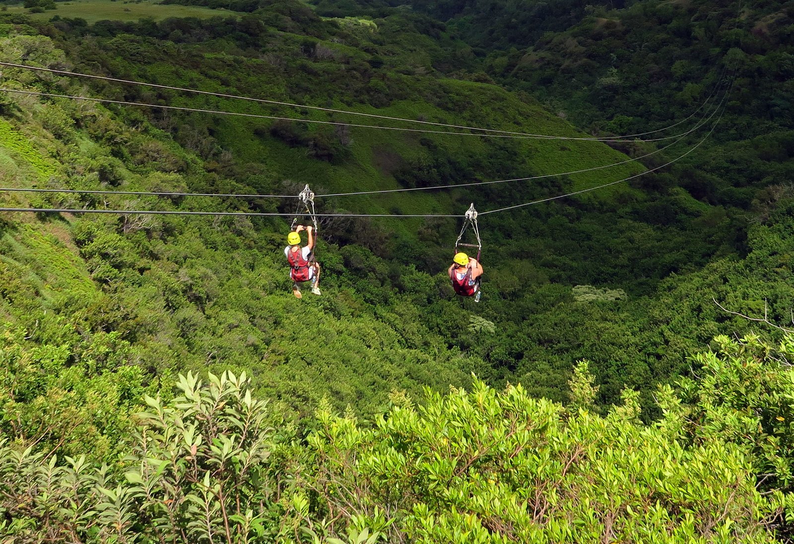 Zipline rider soaring over Haleakala slopes in Maui