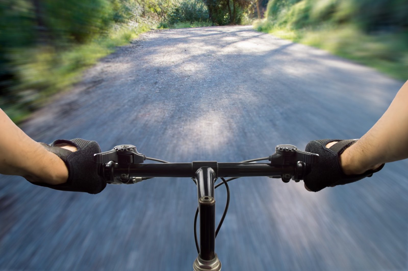 Big Island Bike Tours: Volcano vs Waimea E-Bikes