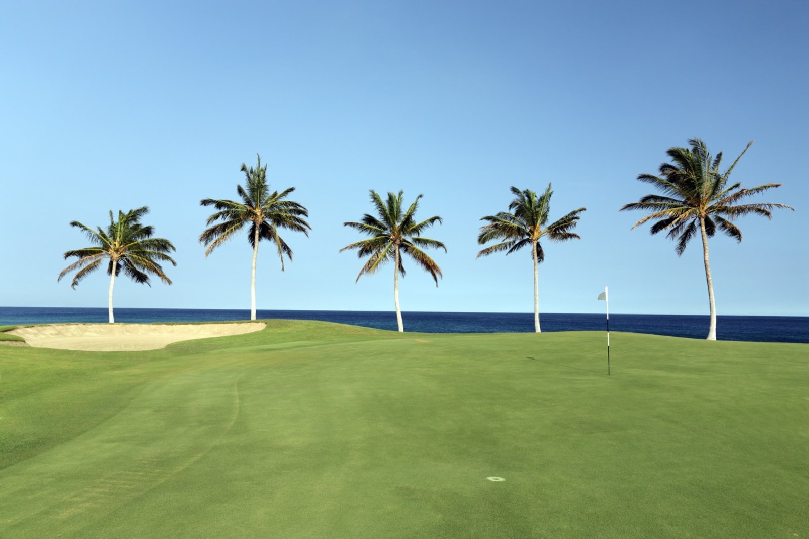 Oceanfront golf green lined with palm trees on the Big Island of Hawaii