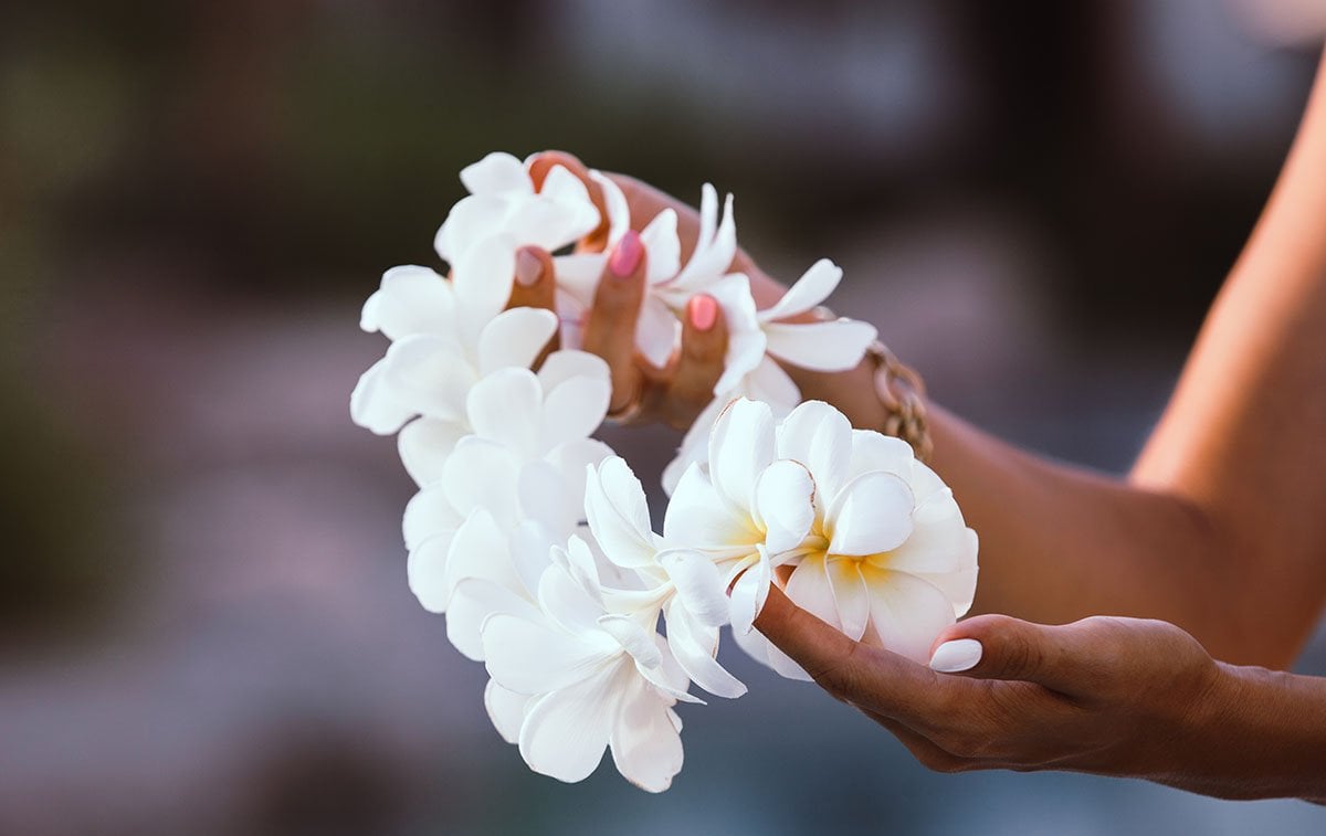 A fresh white flower lei laid out for sale — the kind of lei you find at Oahu's airport lei stands and Chinatown lei shops