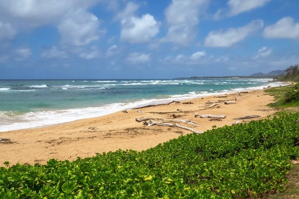 Hawaii Beaches with Shade: Visitor Planning Guide