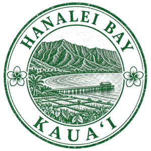 Hanalei Bay Beach passport stamp