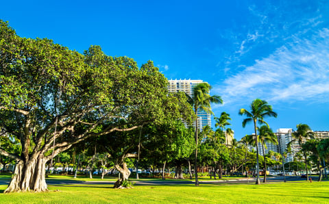 Fort DeRussy Beach Park in Waikiki