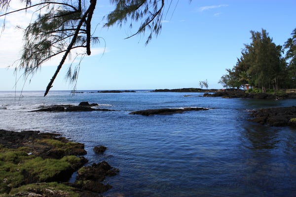 Richardson Ocean Park