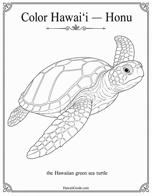 Honu Coloring Page