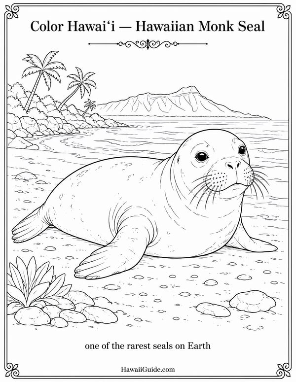 Hawaiian Monk Seal Coloring Page