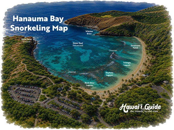 Hanauma Bay Snorkel Map