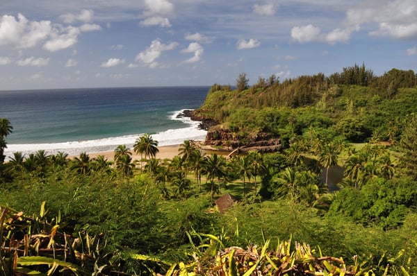 National Tropical Botanical Garden