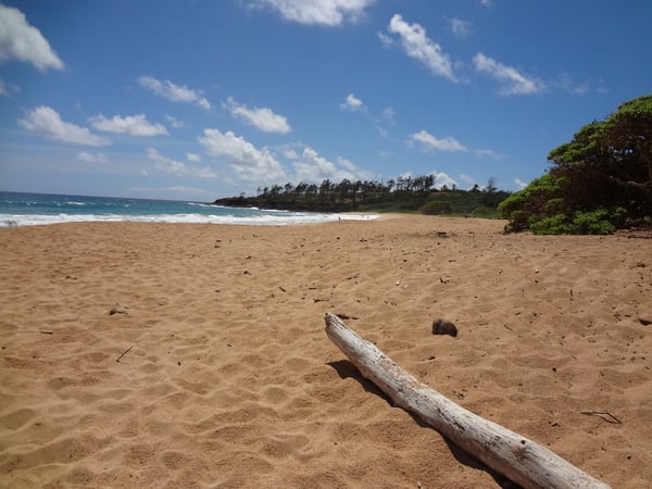 Donkey Beach