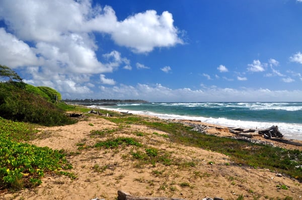 Lydgate Beach Park