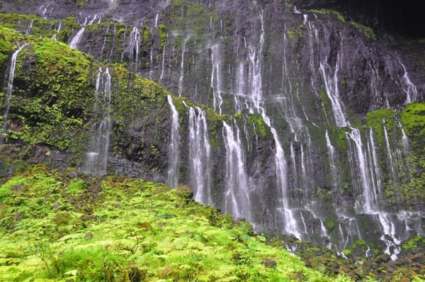 Wai'ale'ale Blue Hole Hike