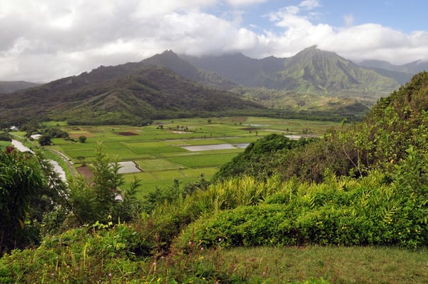 Hanalei Valley Lookout