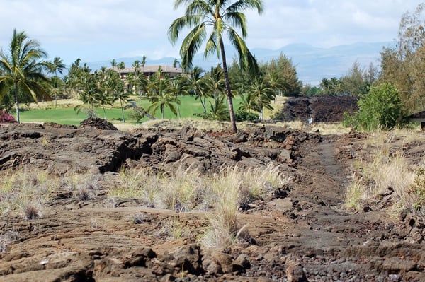 King's Mamalahoa Trail Petroglyphs