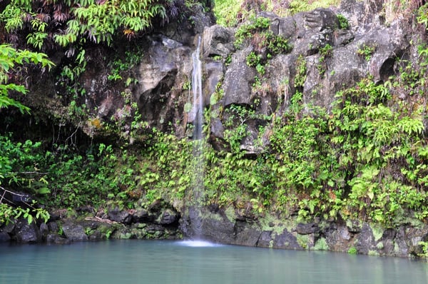 Pua'a Ka'a State Wayside Park