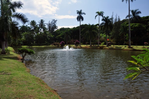 Smith's Tropical Paradise