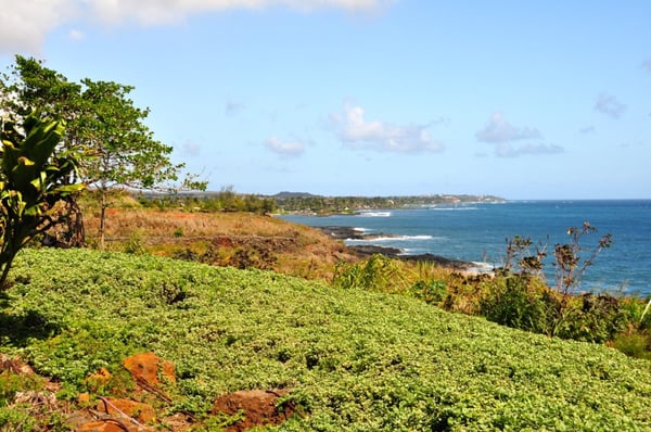 Lāwaʻi Beach