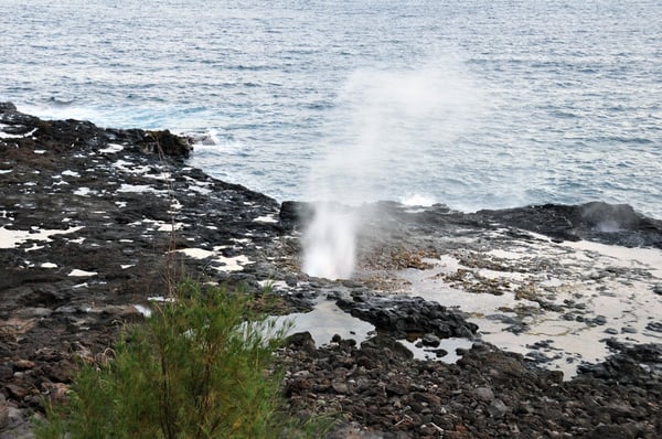 Spouting Horn