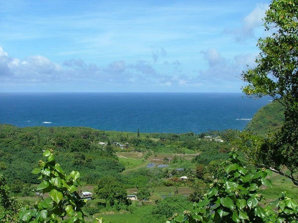 Wailua Valley State Wayside Park