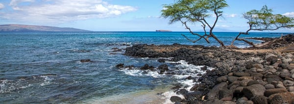 ʻĀhihi-Kīnaʻu Natural Area Reserve
