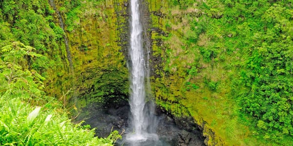 ʻAkaka Falls State Park