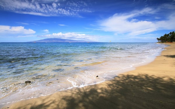 D.T. Fleming Beach