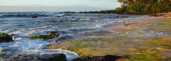 ʻEhukai Beach (Banzai Pipeline)