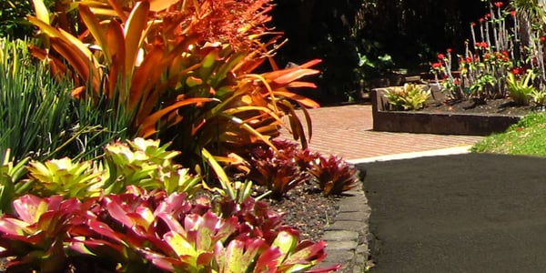 Foster Botanical Gardens