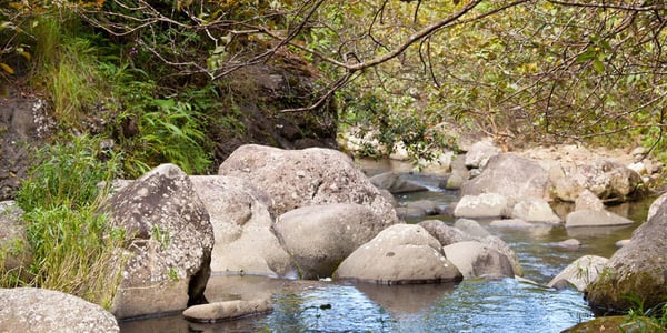 Hanakapiai Falls Trail