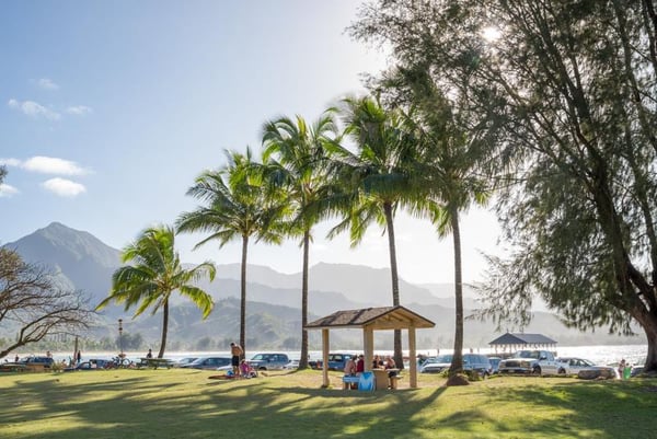 Palms and mountains at Hanalei Bay, Kauai