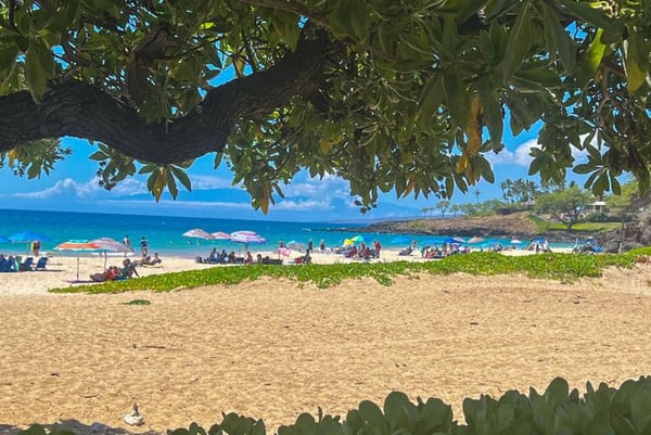 White sand, umbrellas and blue water at Hapuna Beach, Kohala coast
