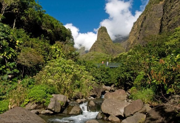 The green ʻĪao Needle rising from ʻĪao Valley, Maui