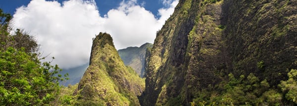 Iao Valley & Needle