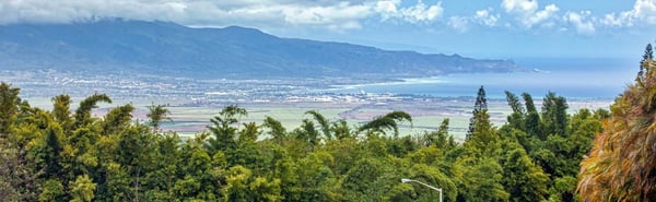 Green Upcountry Maui farm slopes above the central valley