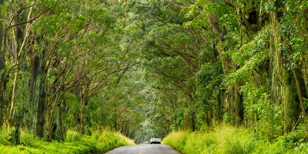 Knudsen Gap