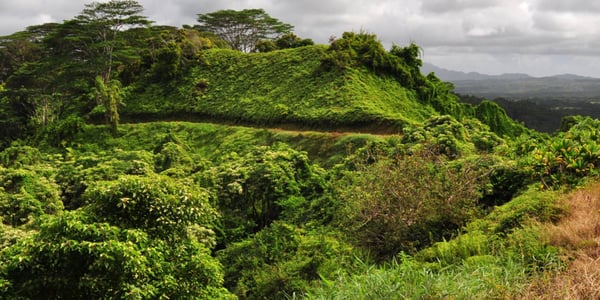 Kuilau Ridge Trail