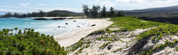 Makalawena Beach