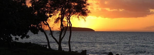 Maluaka Beach (Turtle Town)