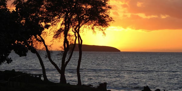 Maluaka Beach (Turtle Town)