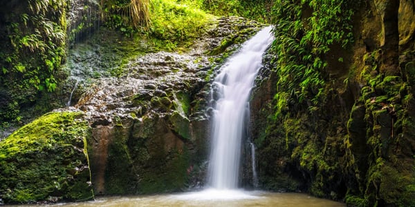 Maunawili Falls Trail