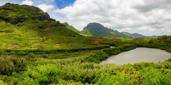 Menehune Fishpond (Alekoko)